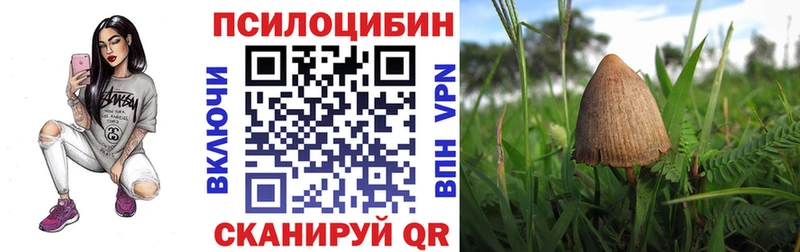 сайты даркнета официальный сайт  цена наркотик  MEGA tor  Тамбов  Галлюциногенные грибы Psilocybine cubensis 